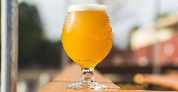 neipa2017-cp